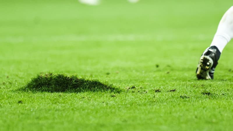 Nice: le coup de gueule de Farioli sur l’état de la pelouse à l’Allianz Riviera, après les matchs de rugby