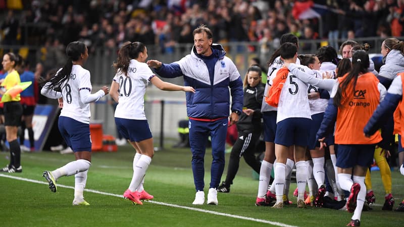 Equipe de France: comment les Bleues ont vécu le faux départ d’Hervé Renard pour la Côte d’Ivoire pendant la CAN