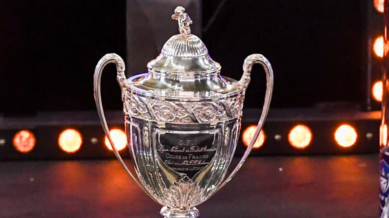 Coupe de France: les affiches des demi-finales, avec Lyon-Valenciennes et un déplacement pour Rennes