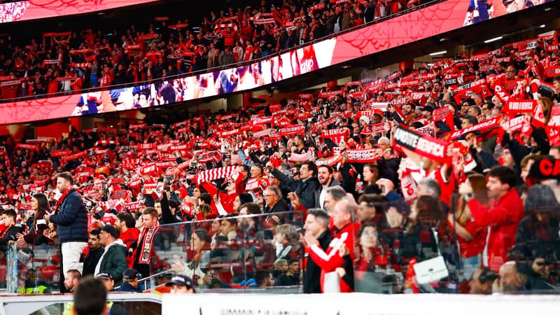 OM-Benfica: vers une interdiction de déplacement des supporteurs portugais à Marseille