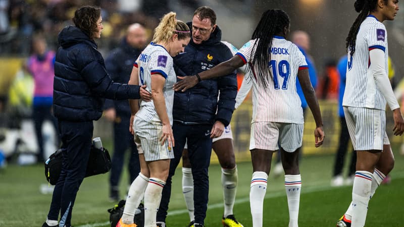 OL: Eugénie Le Sommer va se faire opérer du genou, coup dur pour Lyon et les Bleues