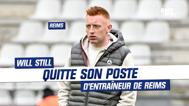 Stade de Reims : Will Still quitte son poste d’entraîneur